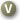 This download is for Vision users only